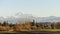 View of the Fraser Valley with Mount Baker in the Background