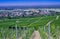 View from Fremersberg to the town of Sinzheim with the Rhine valley near Baden Baden. Baden Wuerttemberg, Germany