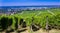 View from Fremersberg to the town of Sinzheim with the Rhine valley near Baden Baden. Baden Wuerttemberg, Germany