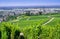 View from Fremersberg to the town of Sinzheim with the Rhine valley near Baden Baden. Baden Wuerttemberg, Germany