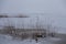 View of fresh snow carpet over a small pond in the moorlands