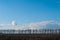 View of a fresh spring field. There are trees on the horizon.