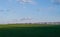 View of a fresh spring field. There are trees on the horizon.