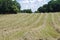 A view of a freshly cut grass field to be dried and baled.