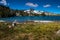 View of Frog Lake with wild flowers