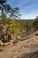 View from the front of the large cave at Robbers Cave, Oklahoma