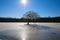 View on frozen lake with isolated bare tree in center on sunny day, sun burst effect - Wegberg, Germany focus on tree