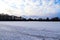 View at a frozen lake during winter with lots of ice skating tracks