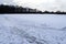 View at a frozen lake during winter with lots of ice skating tracks