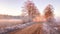 View of frozen road in early spring. Misty morning