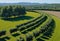 View of a fruitful apple orchard with trees and fruits. View of an agricultural field. Apple trees. Natural example