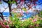 View of Funchal port through the blooming flowers. Madeira