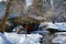 View of Gapstow bridge during winter, Central Park New York City . USA