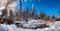 View of Gapstow bridge during winter, Central Park New York City . USA