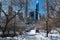 View of Gapstow bridge during winter, Central Park New York City . USA