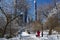 View of Gapstow bridge during winter, dog walking in Central Park New York City . USA