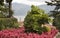 View of garden in Cadenabbia. Italy