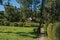 View of garden with pine trees, lawn, house and blue sky in MaringÃ¡.