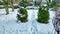 View of the garden in winter with shrubs and trees covered with white snow