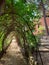 View of the gardens of Gaudi House Museum in Barcelona, Spain. Casa Museu GaudÃ­.