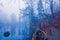 View of a gazebo in a foggy forest. Lake in the forest in the fog