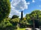 View into german garden with stone steps, cypress, sycamore, maple tree and cherry laurel bush - Germany