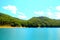 View at Gerosa Lake with cyan sky and fluffy clouds above green vegetation