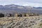 View from the ghost town of Berlin, Nevada