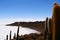 View of Gian cactuses and Salar de Uyuni Salt Flat or salt lake, a popular travel destination, from Incahuasi island, Potosi,