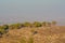 View from Giv`at Hamo`re Nature Reserve. Near Afula, Israel in Western Asia.