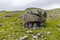 A view of a glacial erratic on limestones supports on the southern slopes of Ingleborough, Yorkshire, UK