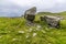 A view of a glacial erratic resting on limestone pavement on the southern slopes of Ingleborough, Yorkshire, UK