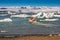 View of Glacier Lagoon with icebergs and zodiac touristic boats for the lake tour, Jokulsarlon, Iceland