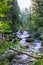 View of Gloria waterfall in a scenic area of Big Cottonwood Canyon, Utah, USA