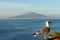 View of Golf of Naploes (Golfo di Napoli) with Vesuvius and seagull