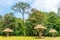 View at the Grand Place with Stelas in ancient Maya archaeological site in Quirigua - Guatemala