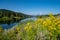 View of the Grand Tetons mountains as seen from Oxbow Bend, with defocused wildflowers in foreground