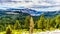 View of the Granite Mountains of Yosemite National Park viewed from Olmsted Point