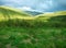 A view a grassland in UK