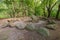 View into the grave chamber on Dolmen site 17