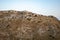 View of Gravina river canyon and park of the Rupestrian Churches of Matera