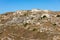 View of Gravina river canyon and park of the Rupestrian Churches of Matera