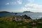 View of Great Blasket Island from Dingle Peninsula from pasture.