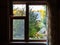 View of green backyard with well through window