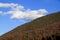 View of a green-brown forest with a beautiful blue sky, Slanic Moldova, Romania