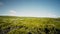 View of green bushland in Western Australia