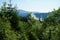 View of the green Carpathian mountains. On the way to Mount Hoverla, the highest point in Ukraine.