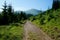 View of the green Carpathian mountains. On the way to Mount Hoverla, the highest point in Ukraine.