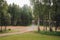 View of green empty park with birches during springtime