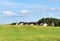 View of the green field with homes in the distance and farm buildings in forest on blue sky background. Country houses in the